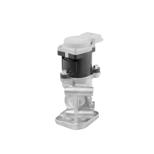 BorgWarner AGR-Ventil 712056D