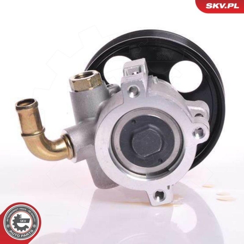 ESEN SKV Hydraulikpumpe, Lenkung 10SKV013