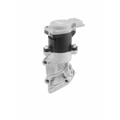 BorgWarner AGR-Ventil 712057D