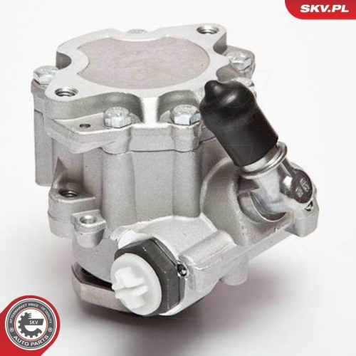 ESEN SKV Hydraulikpumpe, Lenkung 10SKV018