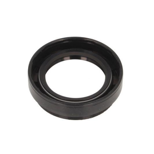 BTA Wellendichtring, Differential G3R001