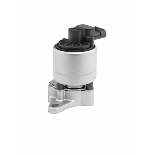 BorgWarner AGR-Ventil 712058D