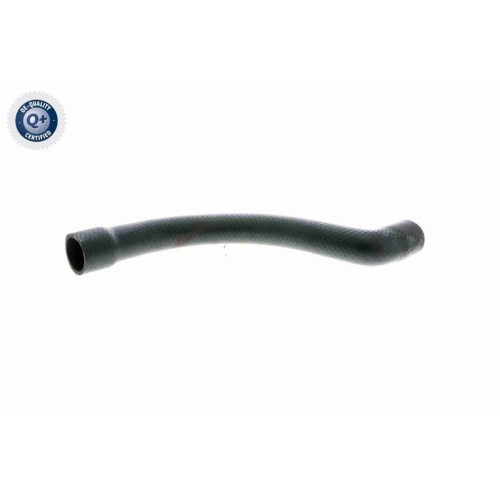 VAICO Kühlerschlauch Q+, Erstausrüsterqualität V20-1252