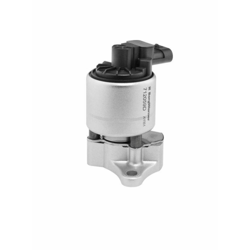 BorgWarner AGR-Ventil 712059D