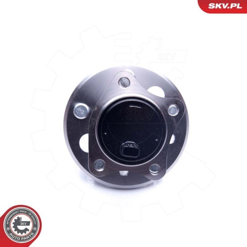 ESEN SKV Radlagersatz 29SKV273