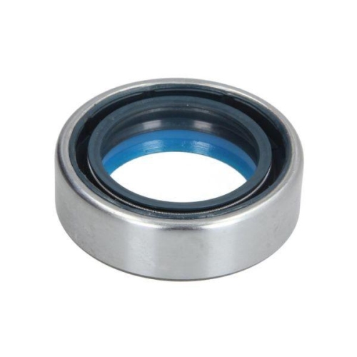 BTA Wellendichtring, Differential B05-AG-172