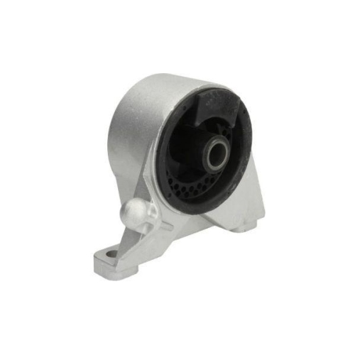REINHOCH Lagerung, Motor RH11-5028