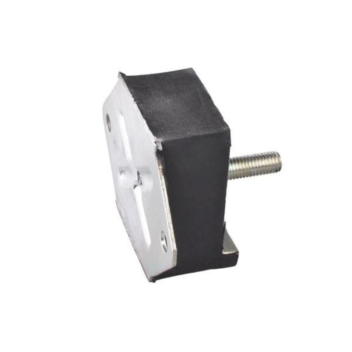TEDGUM Lagerung, Motor