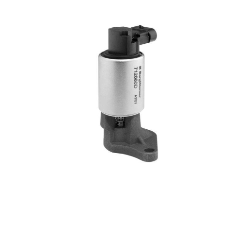 BorgWarner AGR-Ventil 712060D