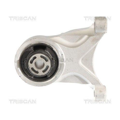 TRISCAN Lagerung, Motor 8505 81102