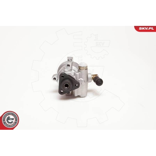 ESEN SKV Hydraulikpumpe, Lenkung 10SKV053