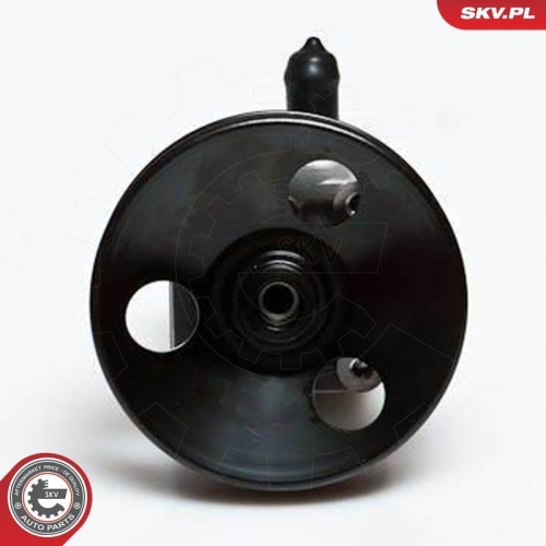 ESEN SKV Hydraulikpumpe, Lenkung 10SKV027