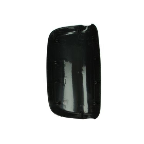 PACOL Geh&auml;use, Au&szlig;enspiegel DAF-MR-016