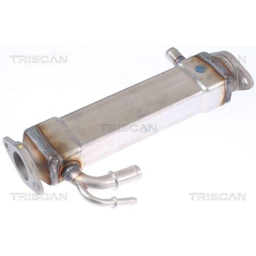 TRISCAN K&uuml;hler, Abgasr&uuml;ckf&uuml;hrung 8813 15073