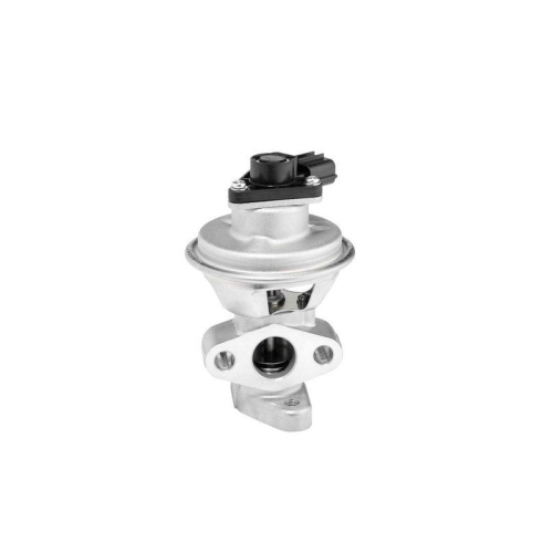 BorgWarner AGR-Ventil 712063D