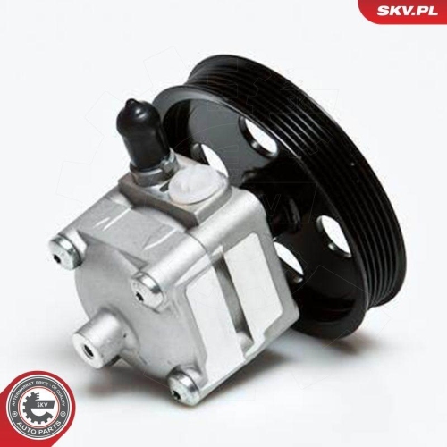 ESEN SKV Hydraulikpumpe, Lenkung 10SKV028