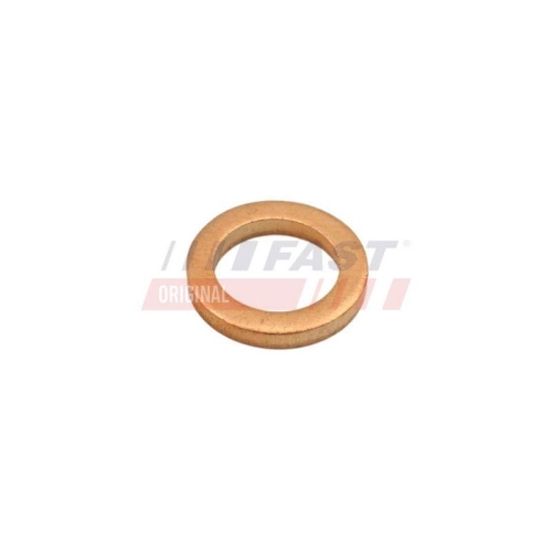 FAST Dichtung, &Ouml;leinlass (Lader) FT48802