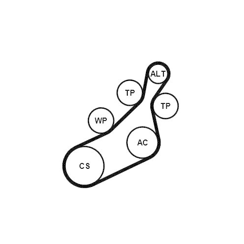 CONTINENTAL CTAM Keilrippenriemensatz 8PK1122 EXTRA K1