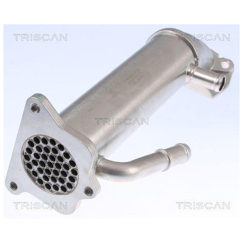 TRISCAN K&uuml;hler, Abgasr&uuml;ckf&uuml;hrung 8813 16109