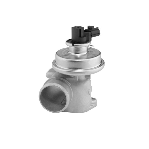 BorgWarner AGR-Ventil 712064D