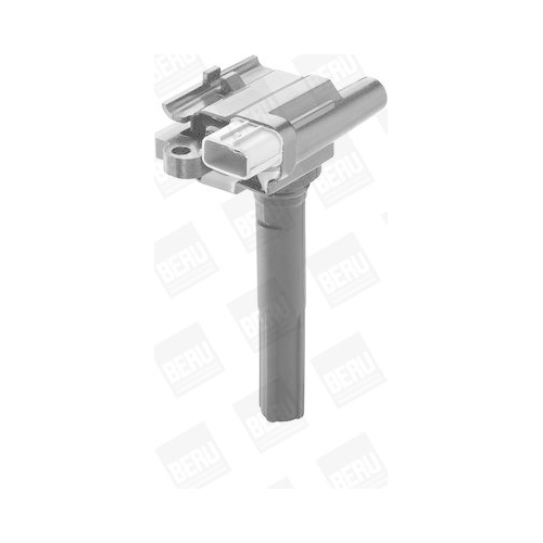 BorgWarner (BERU) Z&uuml;ndspule ZSE069