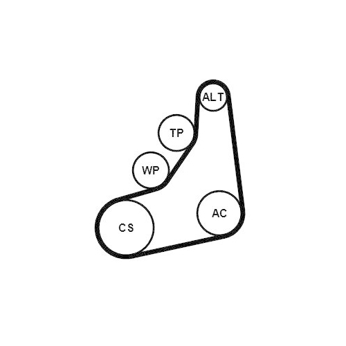 CONTINENTAL CTAM Keilrippenriemensatz 8PK1162 EXTRA K1