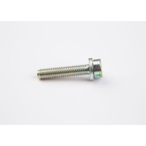 BOSCH Schraube F 002 D13 698