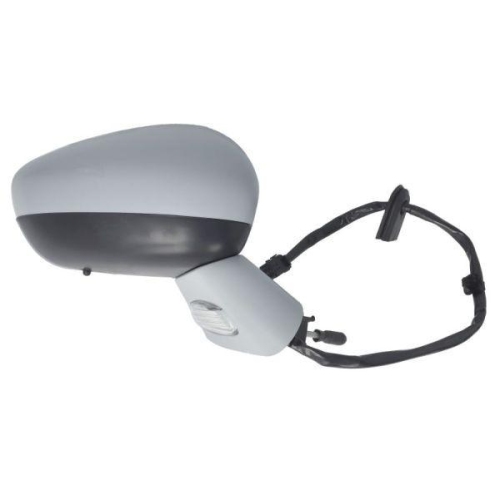 BLIC Au&szlig;enspiegel 5402-21-034366P