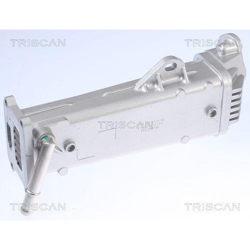 TRISCAN K&uuml;hler, Abgasr&uuml;ckf&uuml;hrung 8813 27104