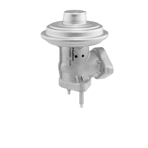 BorgWarner AGR-Ventil 712065D