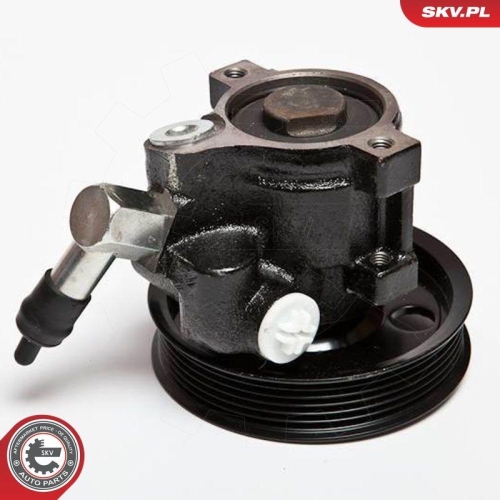 ESEN SKV Hydraulikpumpe, Lenkung 10SKV066