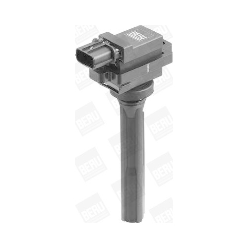 BorgWarner (BERU) Z&uuml;ndspule ZSE072
