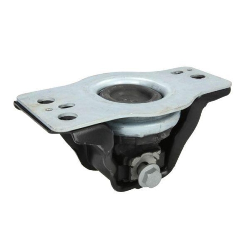 REINHOCH Lagerung, Motor RH11-2142