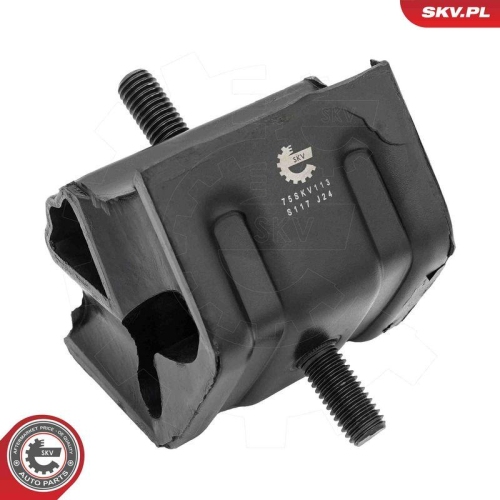 ESEN SKV Lagerung, Motor