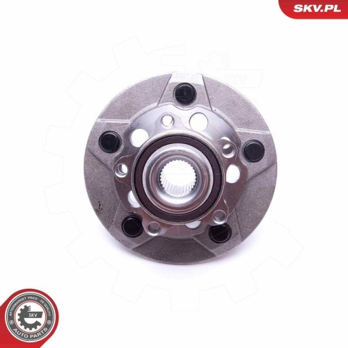 ESEN SKV Radlagersatz 29SKV283