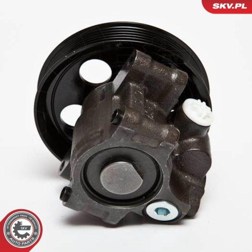ESEN SKV Hydraulikpumpe, Lenkung 10SKV067