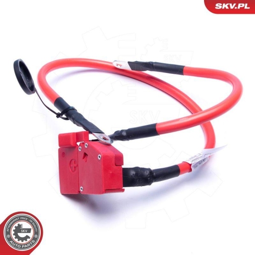 ESEN SKV Batterieadapter 96SKV312
