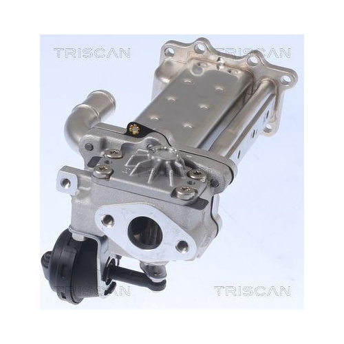 TRISCAN K&uuml;hler, Abgasr&uuml;ckf&uuml;hrung 8813 43104