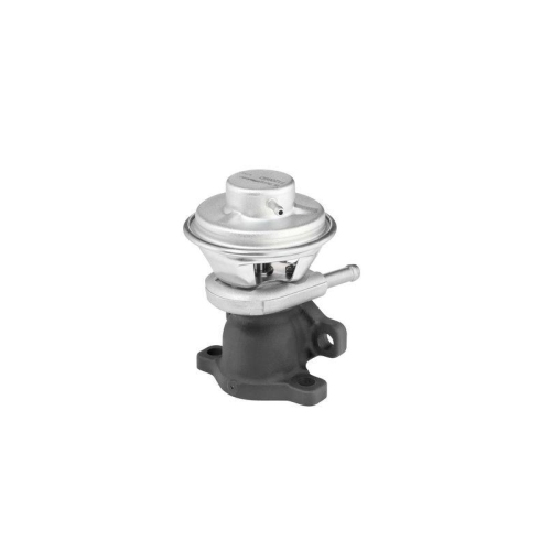 BorgWarner AGR-Ventil 712069D