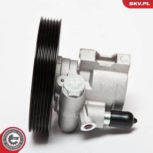 ESEN SKV Hydraulikpumpe, Lenkung 10SKV069