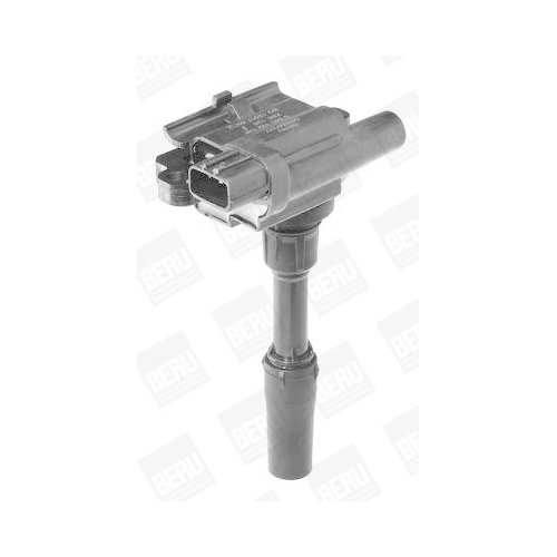 BorgWarner (BERU) Z&uuml;ndspule ZSE136