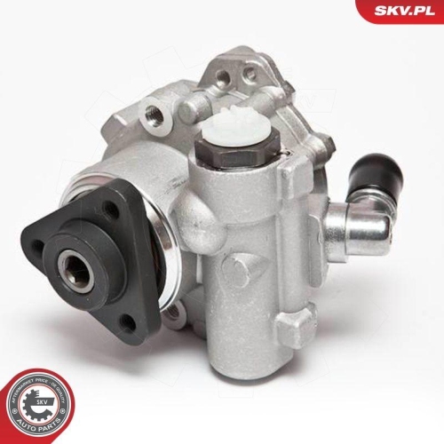 ESEN SKV Hydraulikpumpe, Lenkung 10SKV072