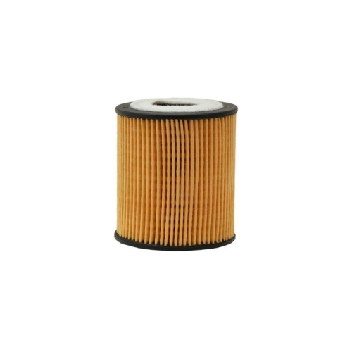 HELLA &Ouml;lfilter 8ZO 366 100-451