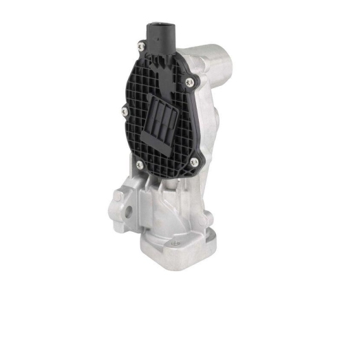 BorgWarner AGR-Ventil 712074D