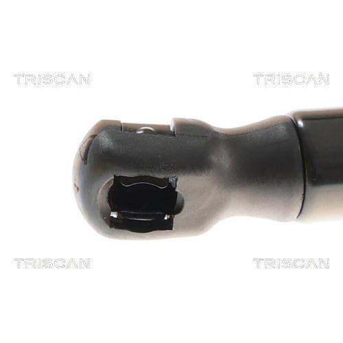 TRISCAN Gasfeder, Koffer-/Laderaum