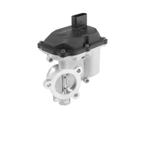 BorgWarner AGR-Ventil 712079D