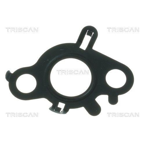 TRISCAN Dichtung 8813 99202