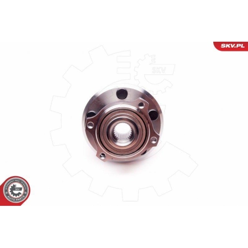 ESEN SKV Radlagersatz 29SKV168