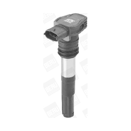 BorgWarner (BERU) Z&uuml;ndspule ZSE128