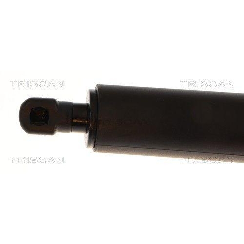 TRISCAN Gasfeder, Koffer-/Laderaum 8710 232103
